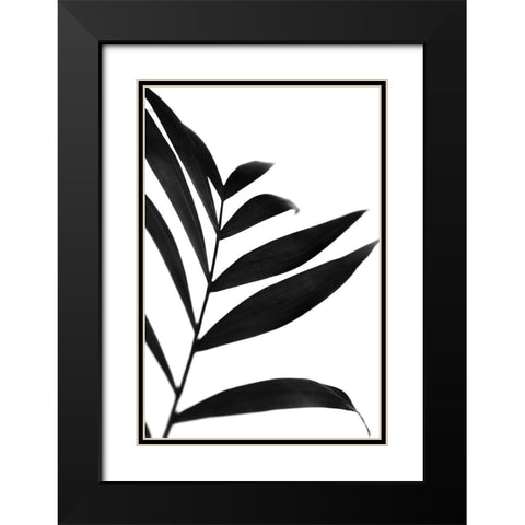 Black Palms IV Black Modern Wood Framed Art Print with Double Matting by Stramel, Renee W.