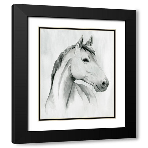 Silver Gelding I Black Modern Wood Framed Art Print with Double Matting by Popp, Grace