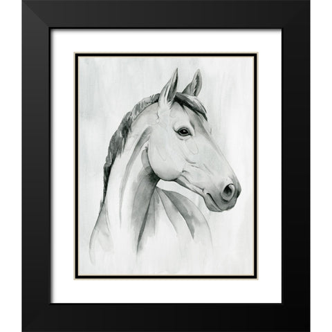 Silver Gelding I Black Modern Wood Framed Art Print with Double Matting by Popp, Grace