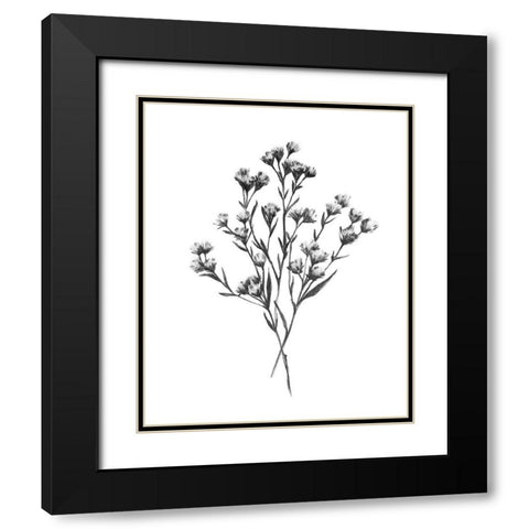 Wild Thistle Bundle I Black Modern Wood Framed Art Print with Double Matting by Scarvey, Emma