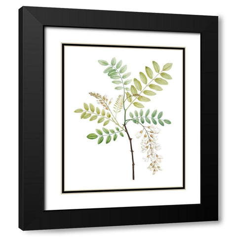 Soft Green Botanical I Black Modern Wood Framed Art Print with Double Matting by Vision Studio