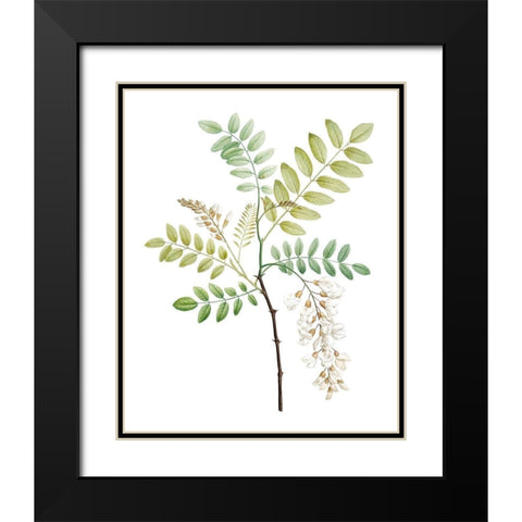 Soft Green Botanical I Black Modern Wood Framed Art Print with Double Matting by Vision Studio