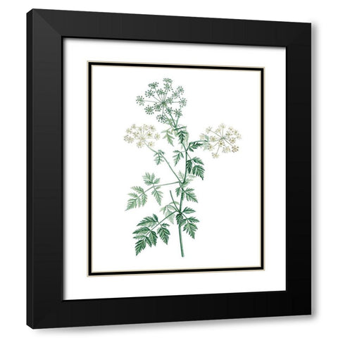 Soft Green Botanical II Black Modern Wood Framed Art Print with Double Matting by Vision Studio