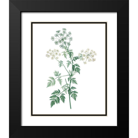 Soft Green Botanical II Black Modern Wood Framed Art Print with Double Matting by Vision Studio