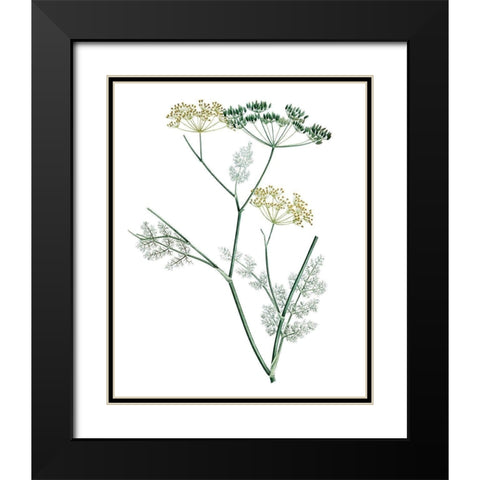 Soft Green Botanical IV Black Modern Wood Framed Art Print with Double Matting by Vision Studio