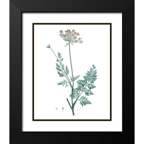 Soft Green Botanical V Black Modern Wood Framed Art Print with Double Matting by Vision Studio