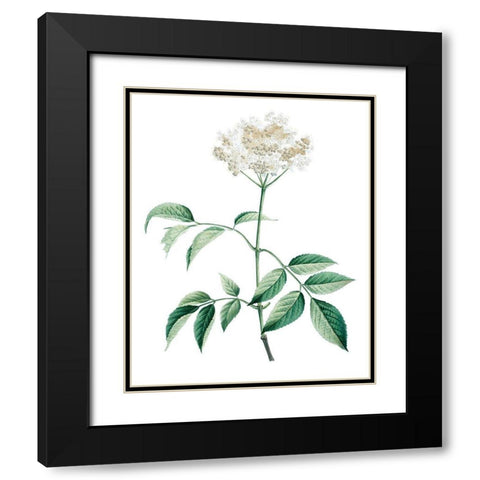 Soft Green Botanical VI Black Modern Wood Framed Art Print with Double Matting by Vision Studio