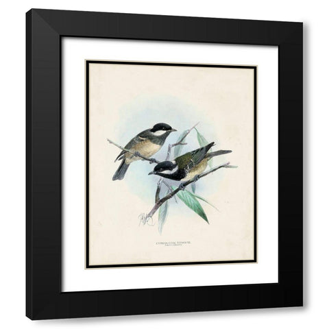 Antique Birds VII Black Modern Wood Framed Art Print with Double Matting by Unknown