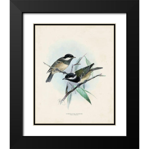 Antique Birds VII Black Modern Wood Framed Art Print with Double Matting by Unknown