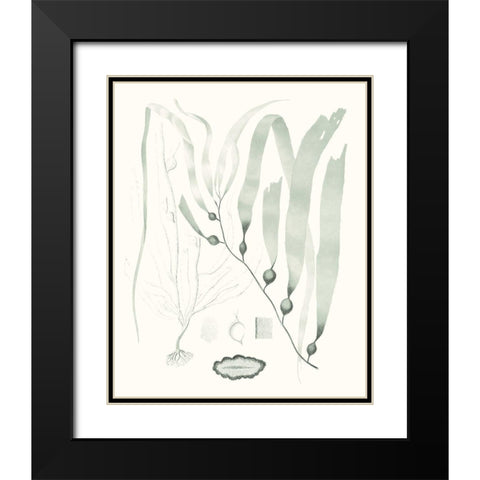 Sage Green Seaweed III Black Modern Wood Framed Art Print with Double Matting by Vision Studio