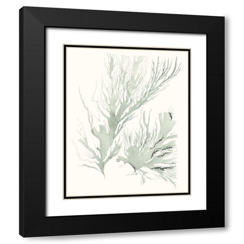 Sage Green Seaweed IV Black Modern Wood Framed Art Print with Double Matting by Vision Studio