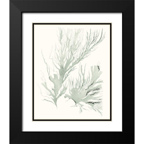 Sage Green Seaweed IV Black Modern Wood Framed Art Print with Double Matting by Vision Studio