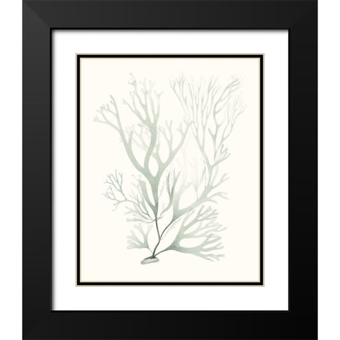 Sage Green Seaweed V Black Modern Wood Framed Art Print with Double Matting by Vision Studio