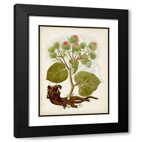 Vintage Charm III Black Modern Wood Framed Art Print with Double Matting by Vision Studio