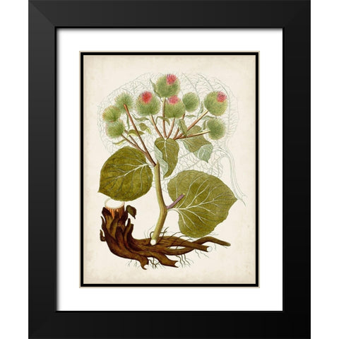 Vintage Charm III Black Modern Wood Framed Art Print with Double Matting by Vision Studio