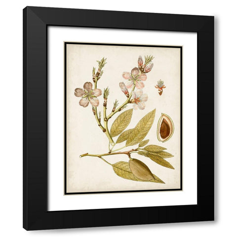 Vintage Charm IV Black Modern Wood Framed Art Print with Double Matting by Vision Studio