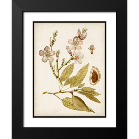 Vintage Charm IV Black Modern Wood Framed Art Print with Double Matting by Vision Studio