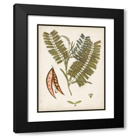 Vintage Charm VII Black Modern Wood Framed Art Print with Double Matting by Vision Studio