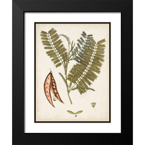 Vintage Charm VII Black Modern Wood Framed Art Print with Double Matting by Vision Studio