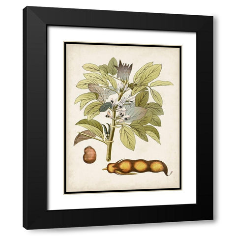 Vintage Charm VIII Black Modern Wood Framed Art Print with Double Matting by Vision Studio