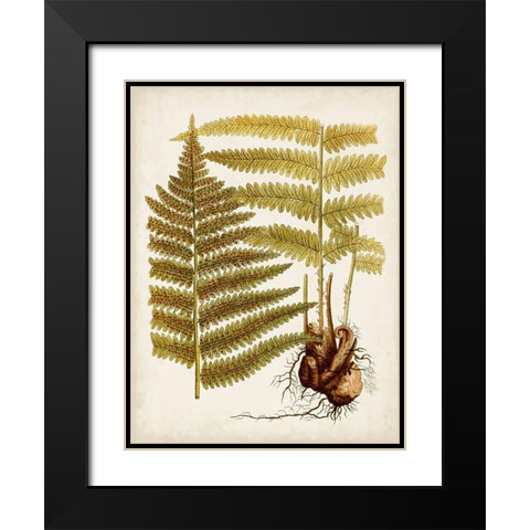 Vintage Charm IX Black Modern Wood Framed Art Print with Double Matting by Vision Studio