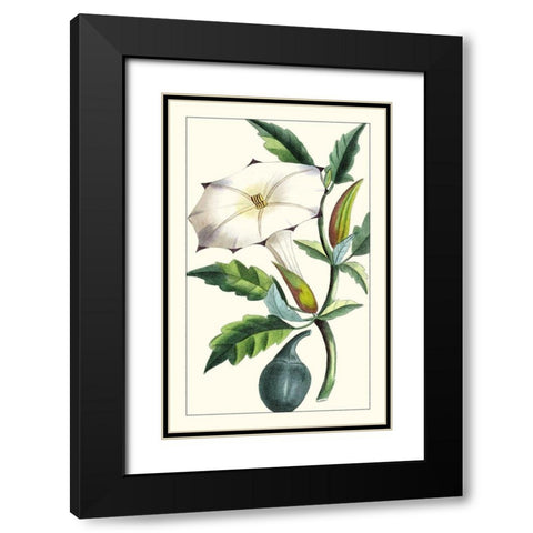 Turpin Exotic Botanical I Black Modern Wood Framed Art Print with Double Matting by Turpin