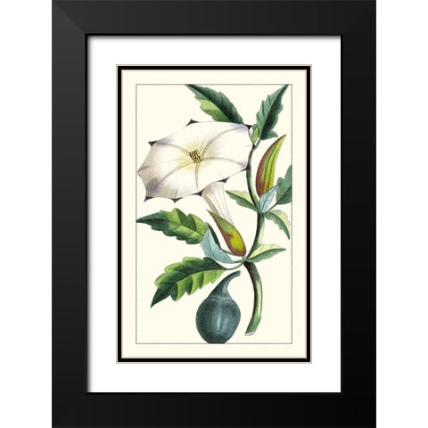 Turpin Exotic Botanical I Black Modern Wood Framed Art Print with Double Matting by Turpin