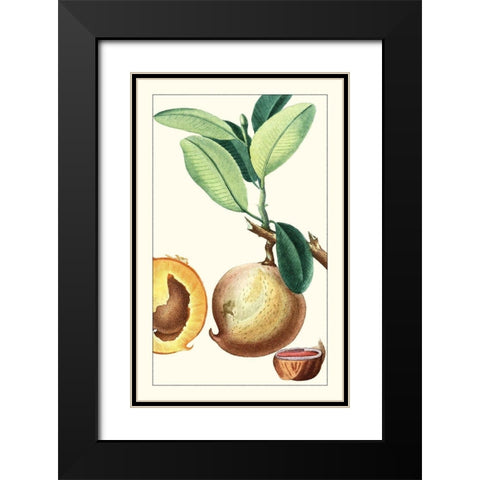 Turpin Exotic Botanical II Black Modern Wood Framed Art Print with Double Matting by Turpin
