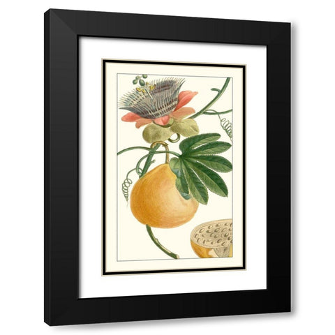 Turpin Exotic Botanical III Black Modern Wood Framed Art Print with Double Matting by Turpin