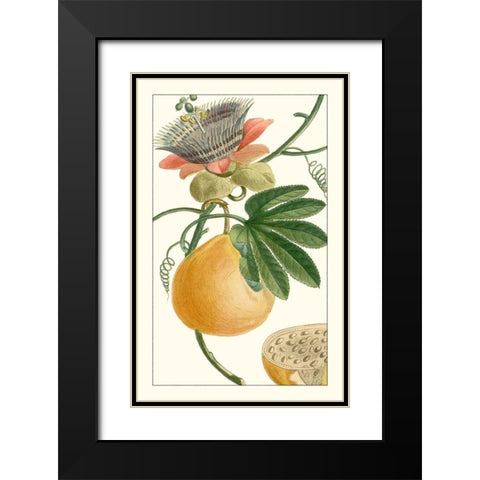 Turpin Exotic Botanical III Black Modern Wood Framed Art Print with Double Matting by Turpin