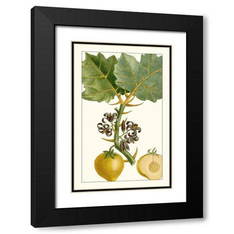 Turpin Exotic Botanical IV Black Modern Wood Framed Art Print with Double Matting by Turpin