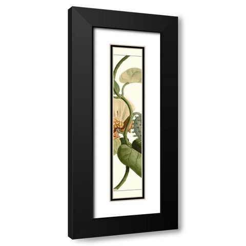 Turpin Exotic Botanical V Black Modern Wood Framed Art Print with Double Matting by Turpin