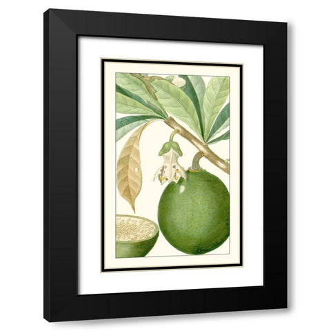 Turpin Exotic Botanical VIII Black Modern Wood Framed Art Print with Double Matting by Turpin