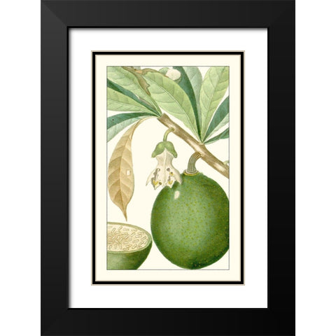 Turpin Exotic Botanical VIII Black Modern Wood Framed Art Print with Double Matting by Turpin