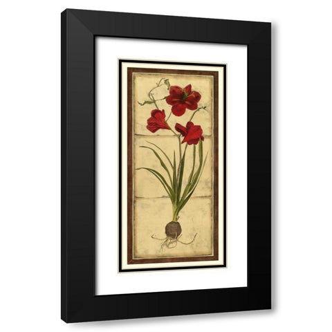 Amaryllis Panel I Black Modern Wood Framed Art Print with Double Matting by Vision Studio