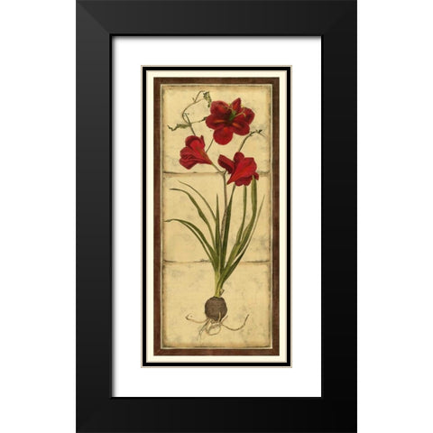 Amaryllis Panel I Black Modern Wood Framed Art Print with Double Matting by Vision Studio