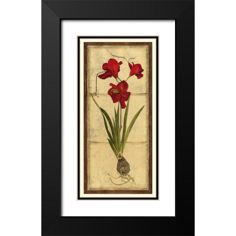 Amaryllis Panel II Black Modern Wood Framed Art Print with Double Matting by Vision Studio