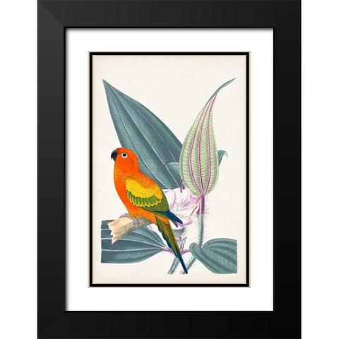 UA Tropical Bird and Flower IV Black Modern Wood Framed Art Print with Double Matting by Vision Studio