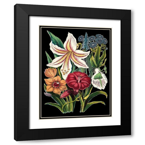 Garden Gathering V Black Modern Wood Framed Art Print with Double Matting by Unknown