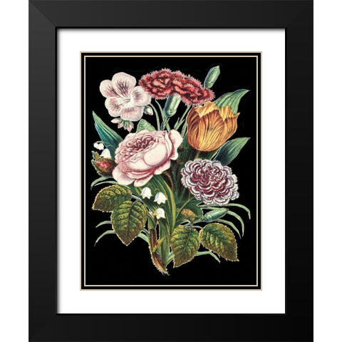 Garden Gathering VIII Black Modern Wood Framed Art Print with Double Matting by Unknown