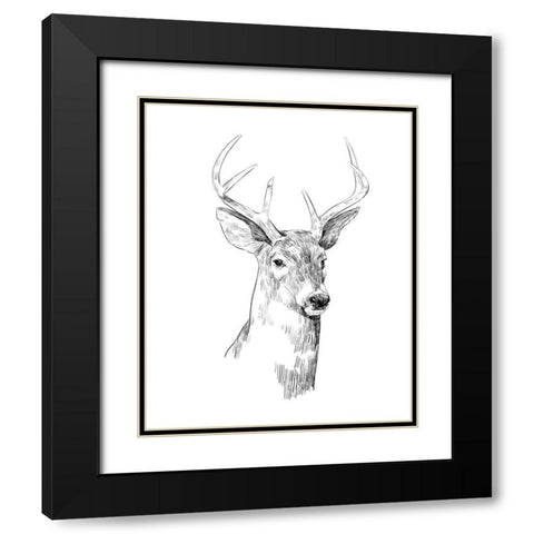 Young Buck Sketch I Black Modern Wood Framed Art Print with Double Matting by Scarvey, Emma