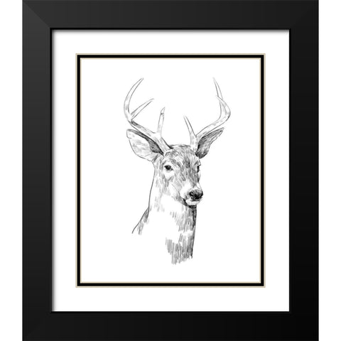 Young Buck Sketch I Black Modern Wood Framed Art Print with Double Matting by Scarvey, Emma