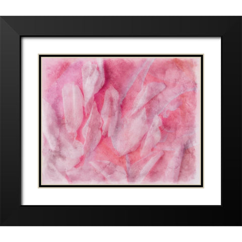 Coral Essence II Black Modern Wood Framed Art Print with Double Matting by Bane, Eva