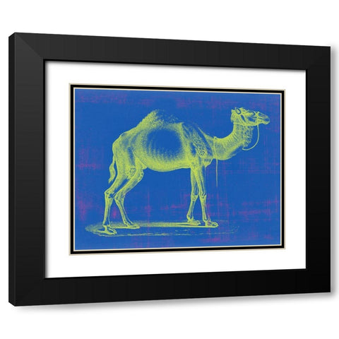 Safari Pop III Black Modern Wood Framed Art Print with Double Matting by Studio W