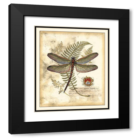 Regal Dragonfly I Black Modern Wood Framed Art Print with Double Matting by Vision Studio