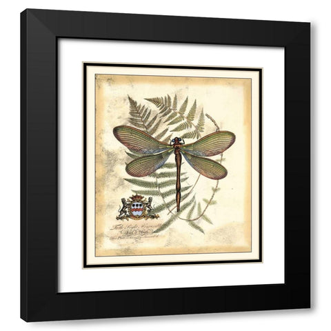 Regal Dragonfly II Black Modern Wood Framed Art Print with Double Matting by Vision Studio