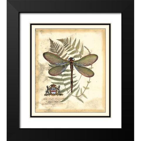 Regal Dragonfly II Black Modern Wood Framed Art Print with Double Matting by Vision Studio