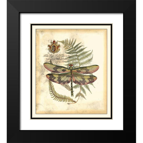 Regal Dragonfly IV Black Modern Wood Framed Art Print with Double Matting by Vision Studio