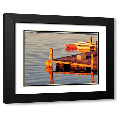 In the Golden Light II Black Modern Wood Framed Art Print with Double Matting by Kalina, Emily