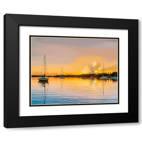 In the Golden Light IV Black Modern Wood Framed Art Print with Double Matting by Kalina, Emily